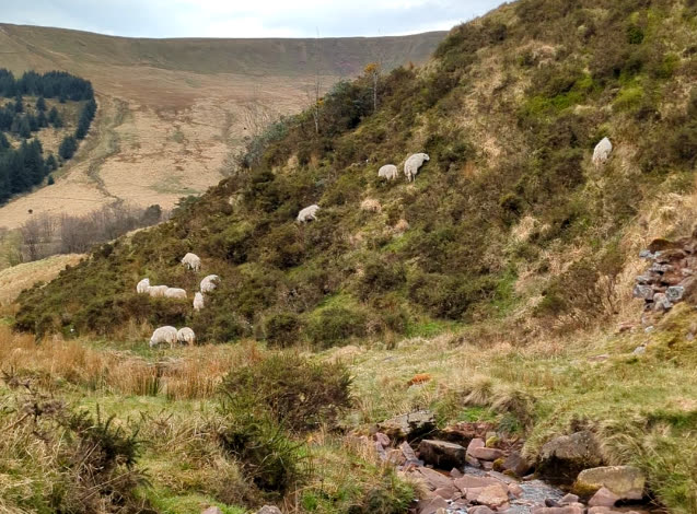 Bwlch y Ddwyallt and Fan y Big Circular