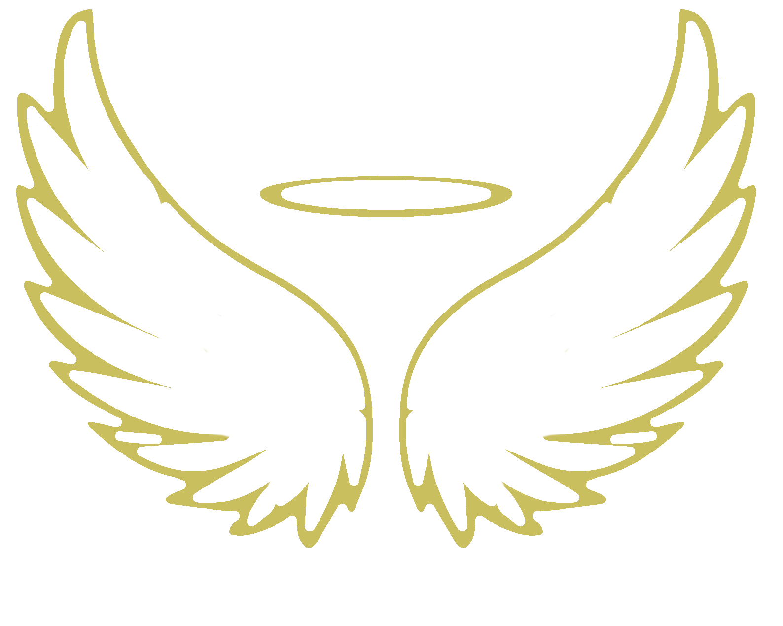 wings